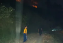 Karhutla Kembali Melanda Kenawat, Empat Hektare Lahan Diperkirakan Terbakar