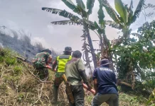 Kebakaran Hutan dan Lahan Kembali Terjadi, Kali ini di Silih Nara