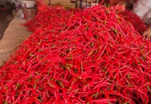Sejumlah Harga Pangan di Takengon Naik, Ayam dan Cabai Paling Menonjol