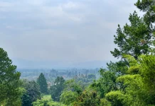 Kabut Asap Selimuti Gayo Lues, Jarak Pandang Turun hingga 300 Meter