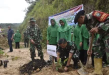Kodim 0119/BM Gelar Penanaman Sejuta Pohon di Dua Kecamatan