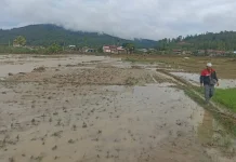 Gayo Lues Siapkan Regulasi Lindungi Lahan Pertanian Produktif