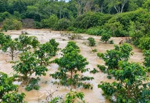 Hujan Deras Picu Banjir dan Longsor di Lima Kecamatan Aceh Tengah