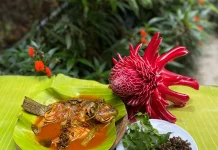 Dari Dapur Gayo ke meja Wisatawan, Masam Jing dan Pesona Kuliner Aceh tengah