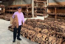 Bener Meriah Jajaki Pengembangan Komoditas Tembakau ke Kabupaten Karo