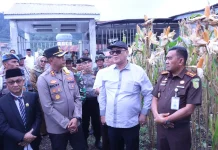 Panen Raya Jagung, Kapolres Dorong Penguatan Swasembada Pangan