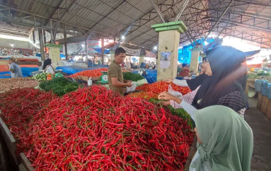Harga Kebutuhan Pokok di Takengon: Daging dan Cabai Naik, Udang dan Beras Turun