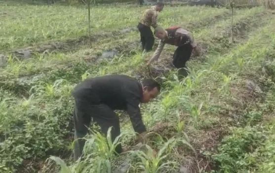 Polsek Pintu Rime Gayo Data Lahan Pekarangan Bergizi Milik Warga