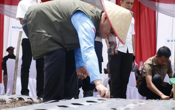 Pemkab Bener Meriah Dukung Percepatan Swasembada Bawang Putih Nasional
