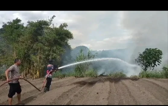 Kebakaran Hutan dan Lahan Kembali Terjadi di Aceh Tengah