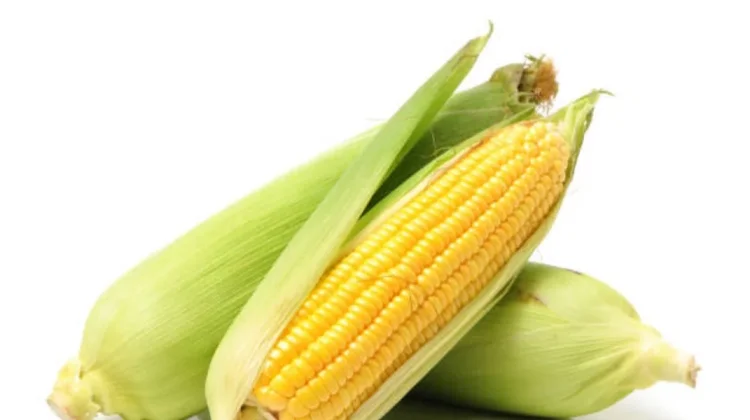 Jagung Berkhasiat Bagi Kesehatan
