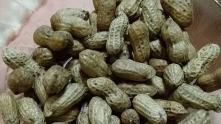 Kacang Rebus Memiliki Khasiat Alami untuk Tubuh