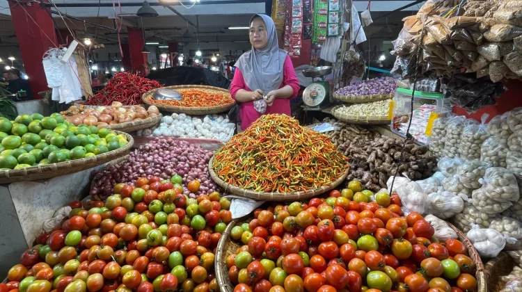 Terkini, Informasi Harga Pangan dan Bapok di Manado