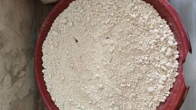 Mengenal Manfaat Makan Sagu