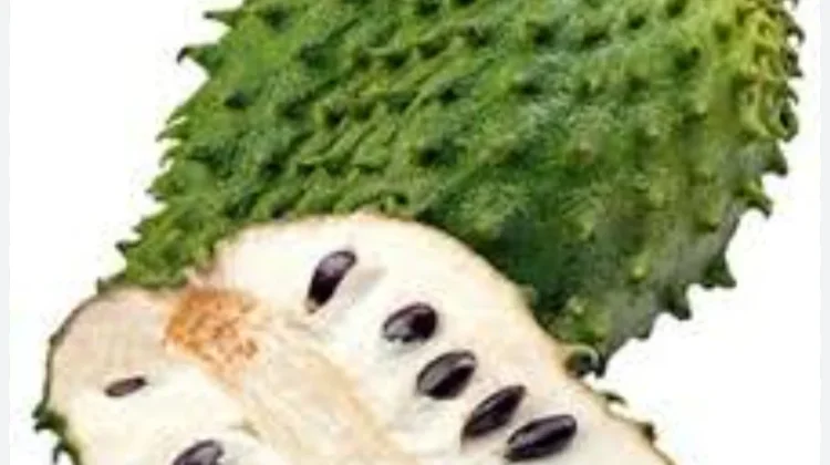 Buah Sirsak Kaya Vitamin C dan Sebagai Antioksidan