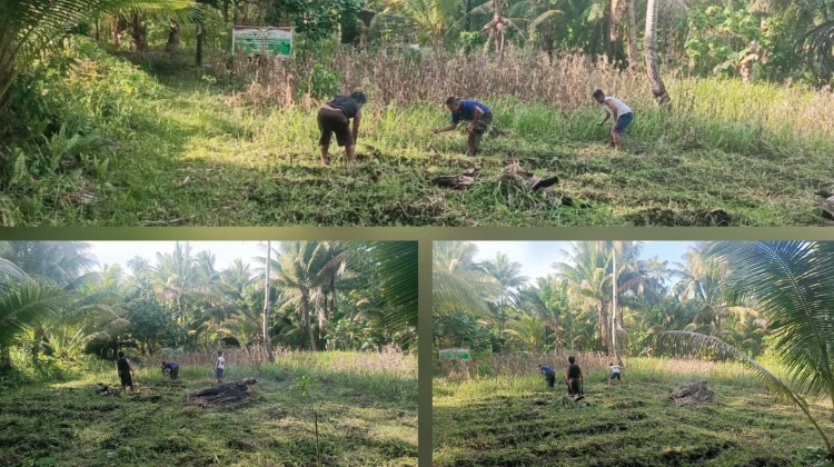 Personil Polsek Miangas Bersihkan Lahan Jagung Ketahanan Pangan