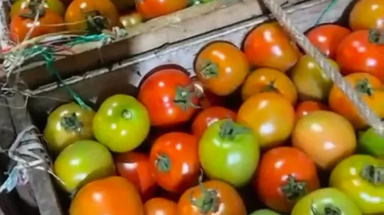 Harga Tomat Naik, Bumbu Dapur Lain Stabil