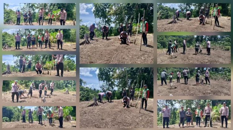 Polsek Melonguane Tanam Jagung Dukung Swasembada Pangan 2026