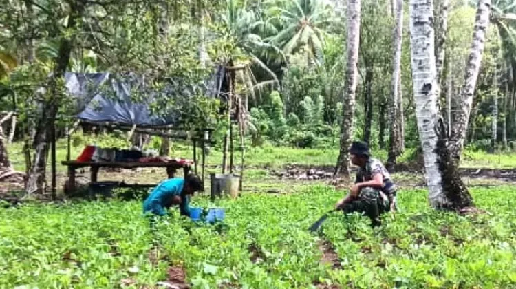 Babinsa Lirung Bantu Warga Bertani