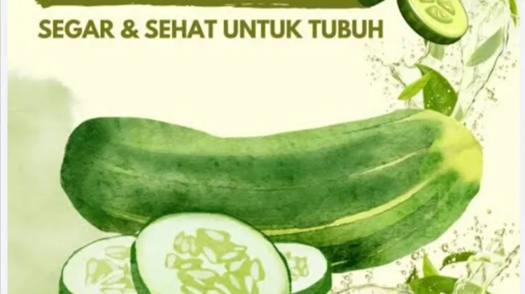 Kenali Manfaat Timun untuk Kesehatan Tubuh