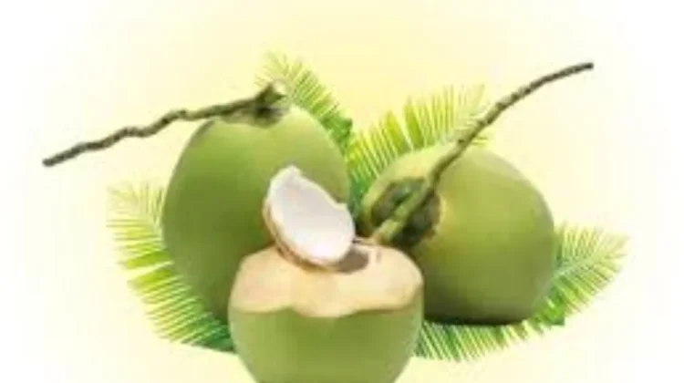 Manfaat Air Kelapa Hijau