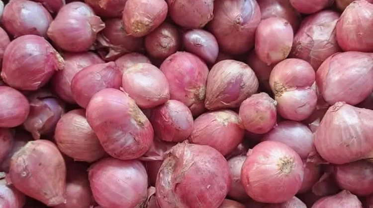 Harga Bawang Merah Naik Jadi 60 Ribu Rupiah per Kilogram