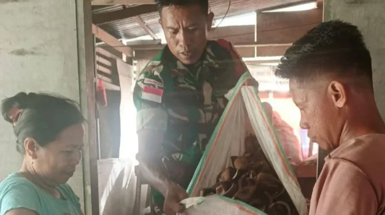 Prajurit Matra Darat Dampingi Petani Kopra Desa Tabang