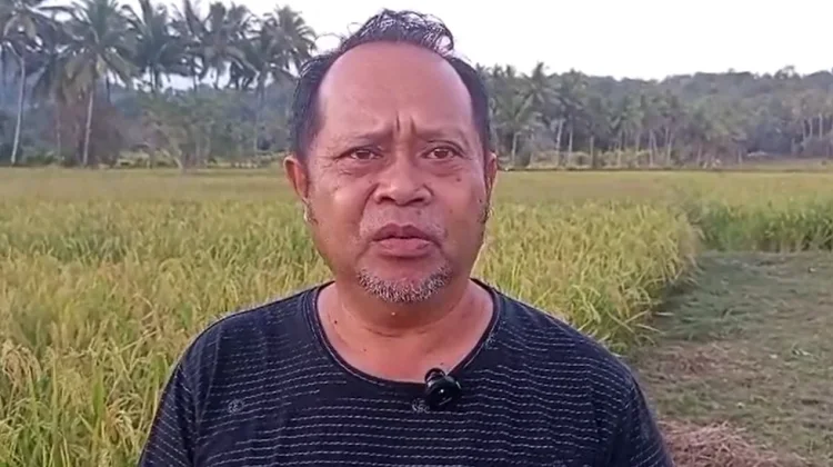 Talaud Kembangkan Persawahan Padi Andalkan Bantuan Bibit