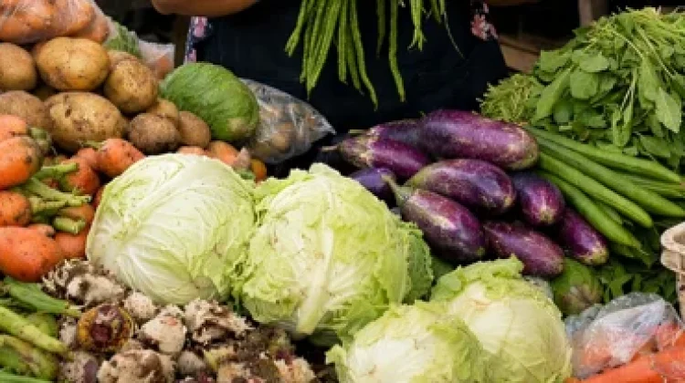 Harga Sayur Melonguane Naik karena Cepat Rusak