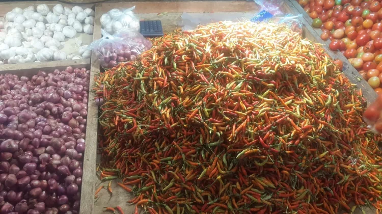 Harga Barito Talaud Turun usai Lebaran
