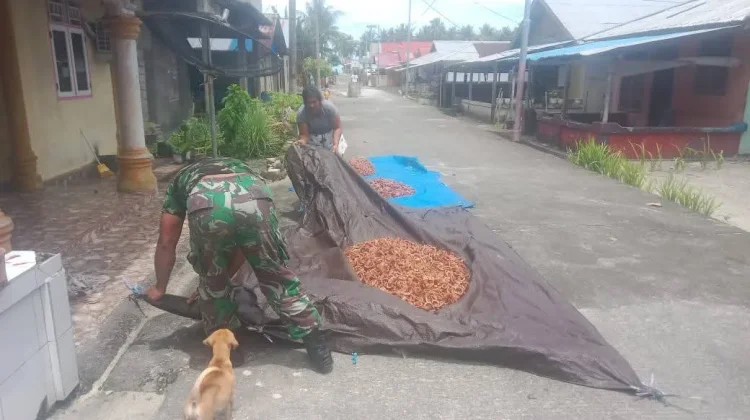 Tentara Bantu Warga  Miangas  Jemur Kopra
