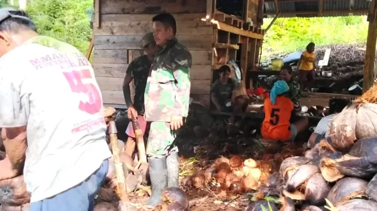 Petani Kelapa di Rainis dibantu TNI dalam Mengolah Hasil Panen