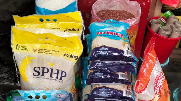 Terkini, Informasi Harga Pangan dan Bapok di Manado