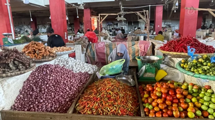 Terkini, Informasi Harga Pangan dan Bapok di Manado