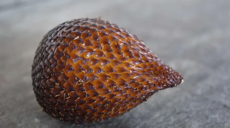 Manfaat Kulit Salak untuk Kesehatan