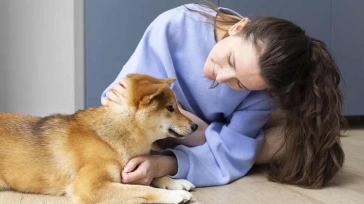 Hari Terapi Anjing, Manfaat Besar untuk Kesehatan Mental