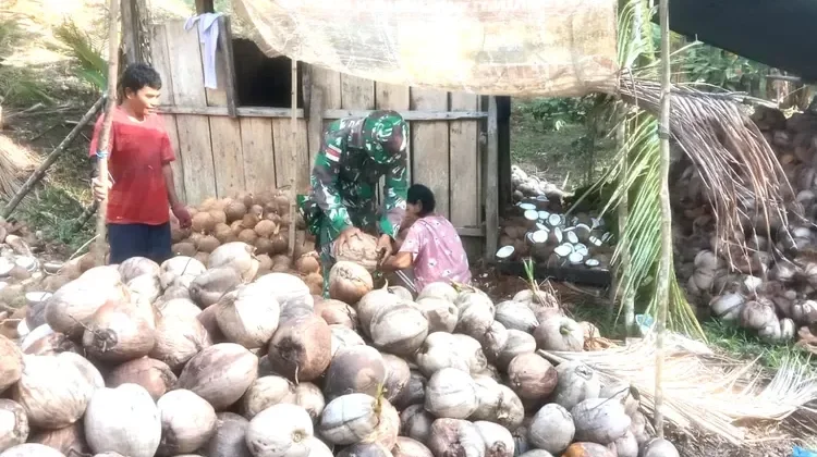 Koramil Essang Bantu Warga Kelolah Hasil Pertanian Kelapa