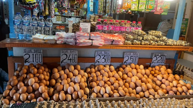 Terkini, Informasi Harga Pangan dan Bapok di Manado