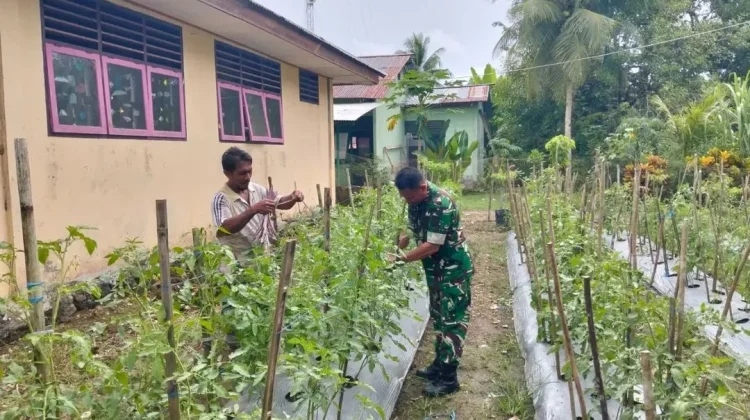 Koramil Essang Dorong Warga Manfaatkan Lahan Pekarangan Desa