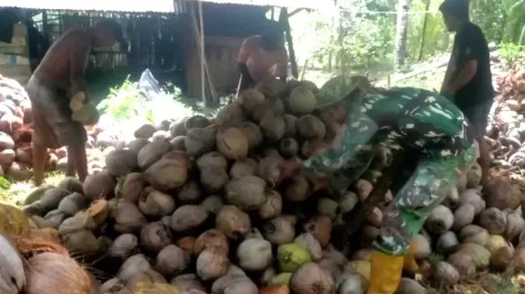 Babinsa Bantu Warga Kelolah Hasil Pertanian