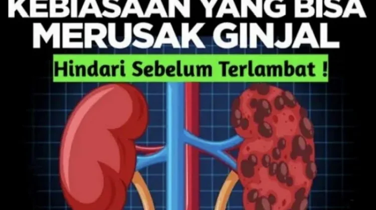 Waspada terhadap Ginjal Rusak, Kenali Penyebab dan Cara Pencegahannya