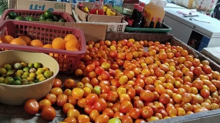 Sempat Turun, Harga Tomat di Pasar Melonguane Kembali Naik