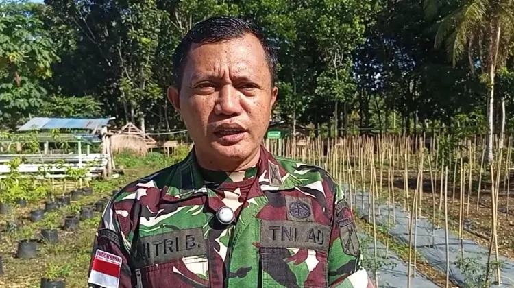 Talaud Kembangkan Pertanian Tanaman Hortikultura Dorong Ekonomi Petani