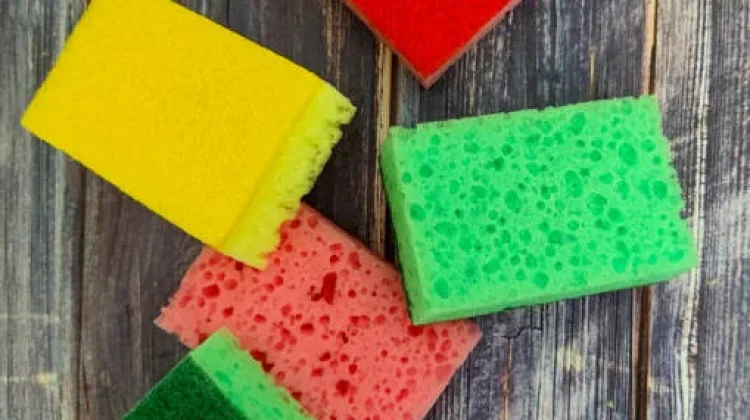 Spons Dapur Bekas Mengandung Bakteri yang berbahaya