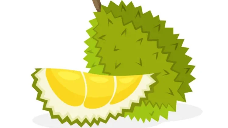 Komsumsi Durian Bermanfaat untuk Kesehatan