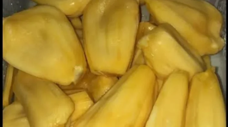 Mengkonsumsi Buah Nangka Memiliki Manfaat Luar Biasa