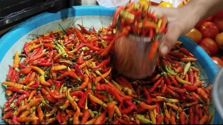 Harga Cabai Naik Jadi 70 Ribu Rupiah per Kilogram