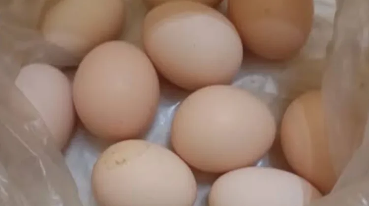 Telur Ayam Memiliki Manfaat Luar Biasa