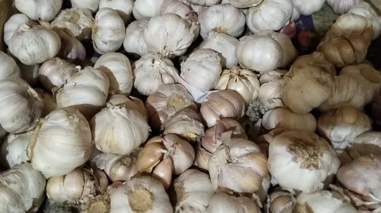 Harga Bawang Putih di Pasar Melonguane Naik