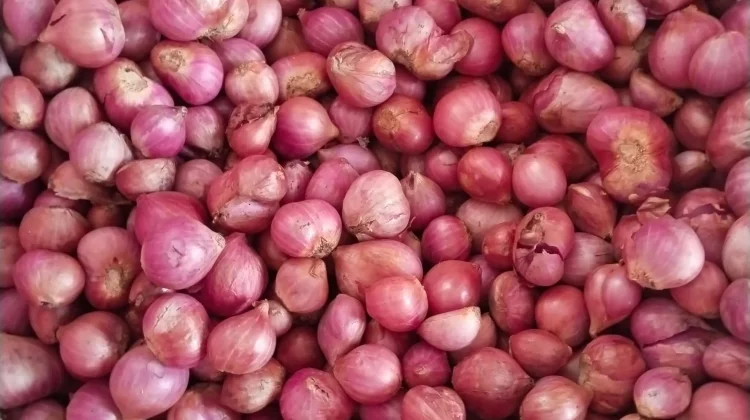 Harga Bawang Merah di Pasar Lirung Turun